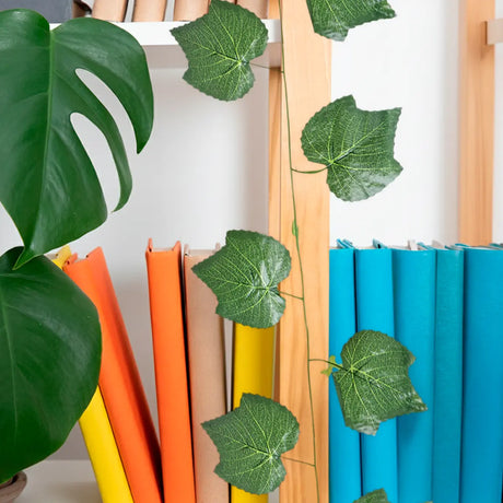 15 12AA ENREDADERA V5