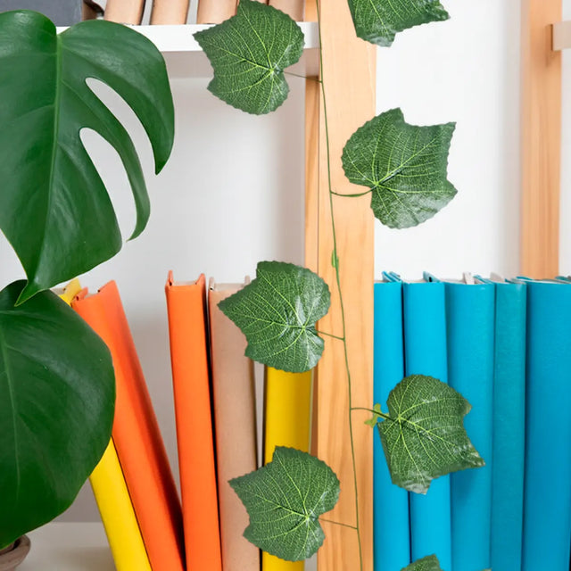 15 12AA ENREDADERA V5