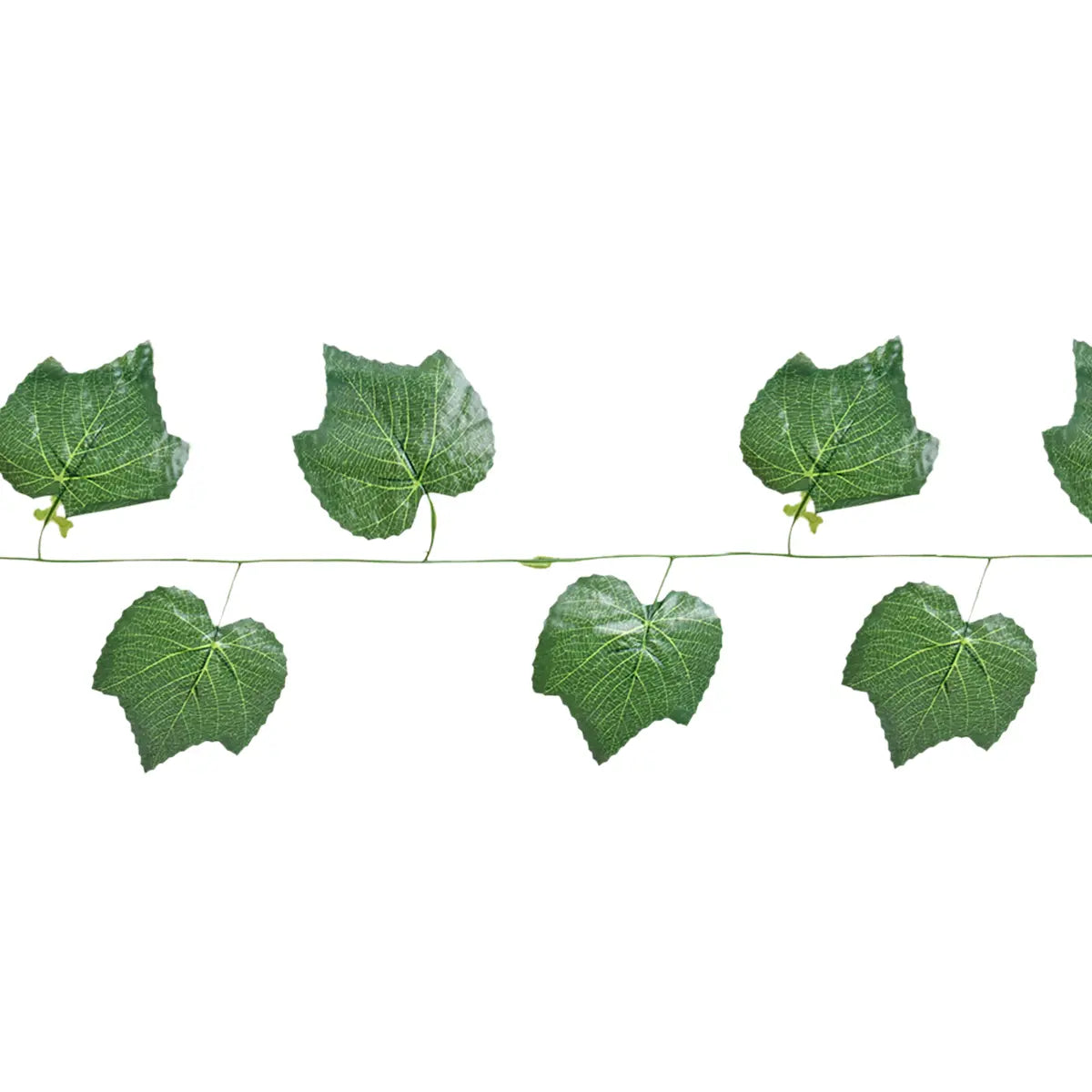 15 12AA ENREDADERA V5