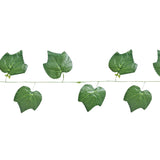 15 12AA ENREDADERA V5