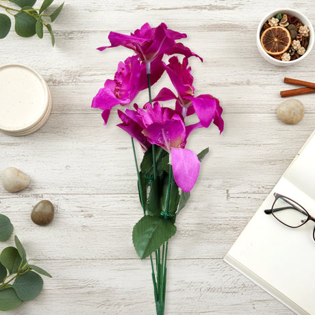 Ramo de Flores, Color Morado