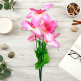 Ramo de Flores, Color Rosa