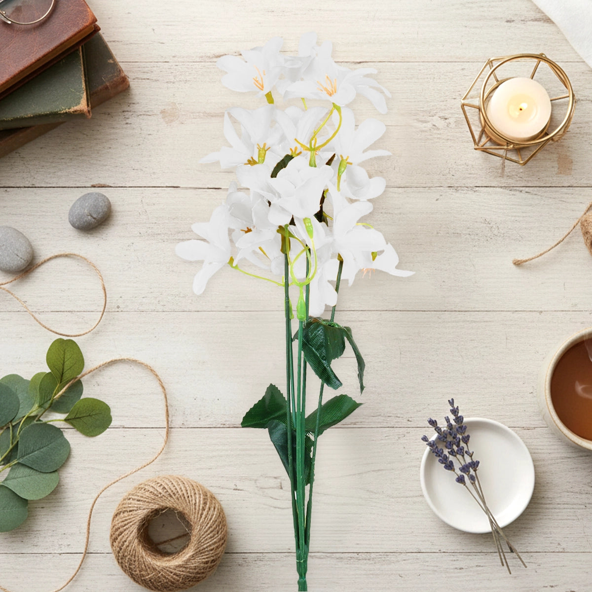 Magnolias, Color Blanco