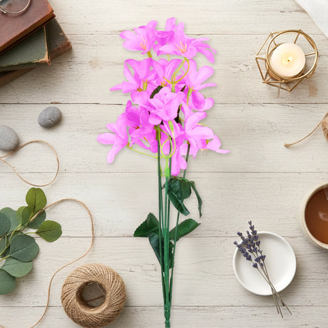 Magnolias, Color Lila