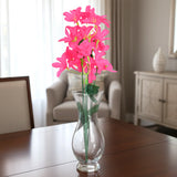 Magnolias, Color Fucsia