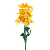 Magnolias, Color Amarillo