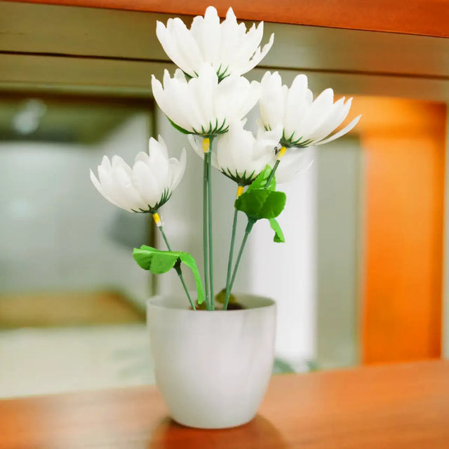 17 12AA RAMO GERBERABLAN