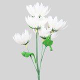 17 12AA RAMO GERBERABLAN