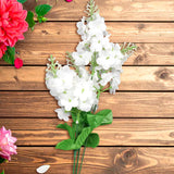 Ramo de Hortensias, Color Blanco