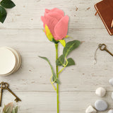 17 12AA FLOR ROSA INDIVIDUAL 1MELO