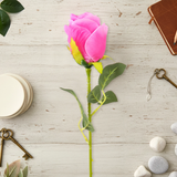 17 12AA FLOR ROSA INDIVIDUAL 1ROSA