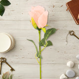 17 12AA FLOR ROSA INDIVIDUAL 1