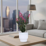 Lavanda Artificial con Maceta, Color Fucsia