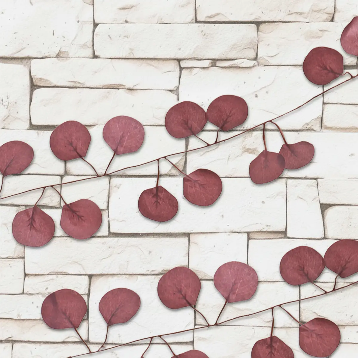 15 12AA ENREDADERA V4CAF