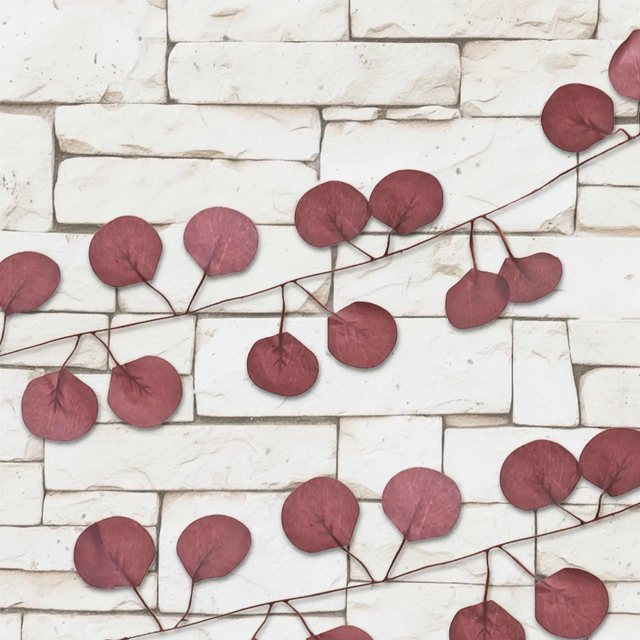 15 12AA ENREDADERA V4CAF