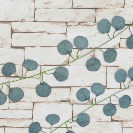 15 12AA ENREDADERA V4