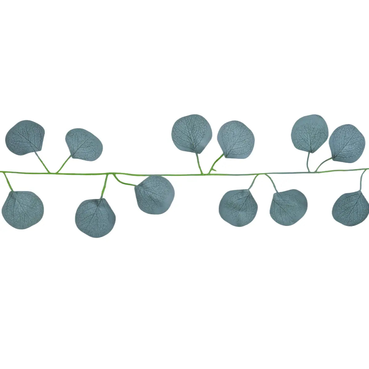 15 12AA ENREDADERA V4