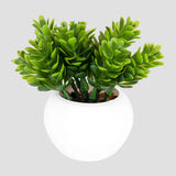 Maceta Mini Color Blanco con Planta