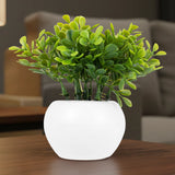 Maceta Mini Color Blanco con Planta Artificial