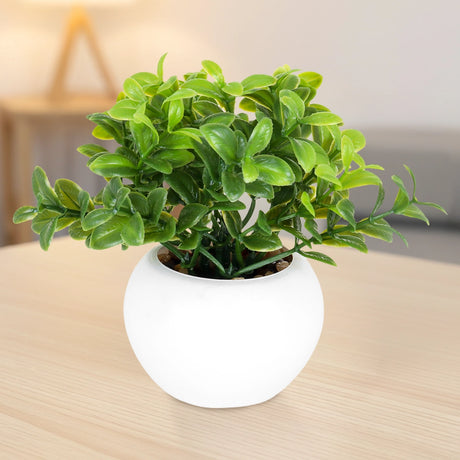 Maceta Mini Color Blanco con Planta Artificial
