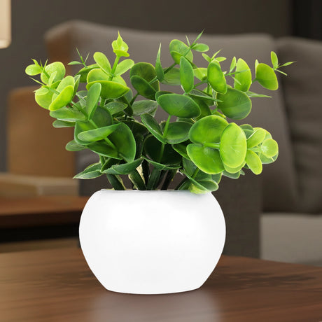 Maceta Mini Color Blanco con Planta de Plástico