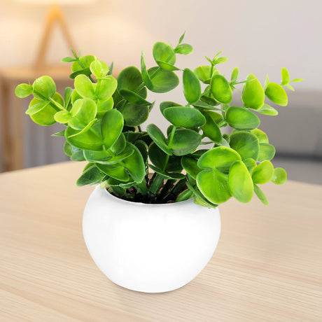 Maceta Mini Color Blanco con Planta de Plástico