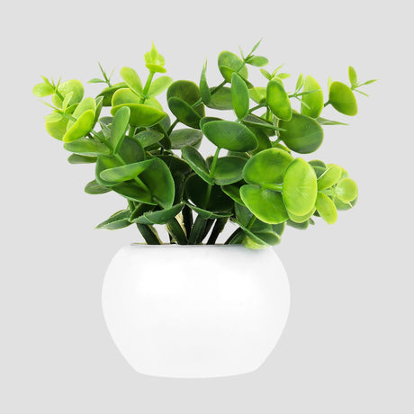 Maceta Mini Color Blanco con Planta de Plástico