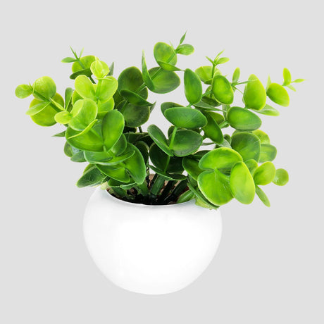 Maceta Mini Color Blanco con Planta de Plástico