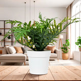 Maceta con Planta Artificial, Color Blanco