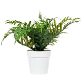 Maceta con Planta Artificial, Color Blanco