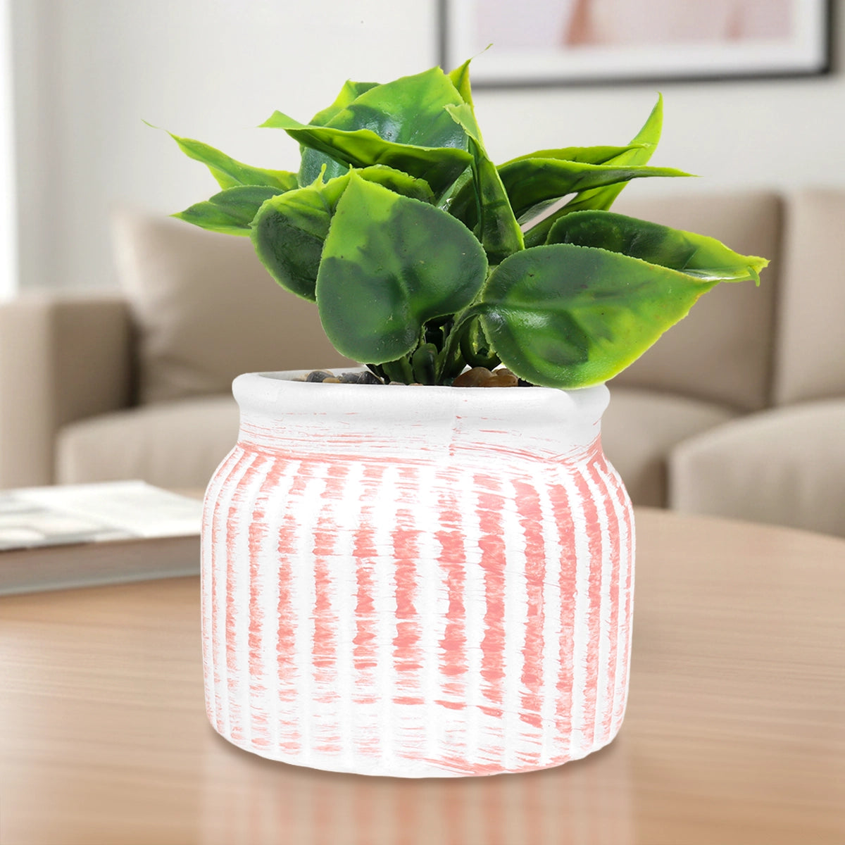 Planta con Maceta Circular, Color Naranja