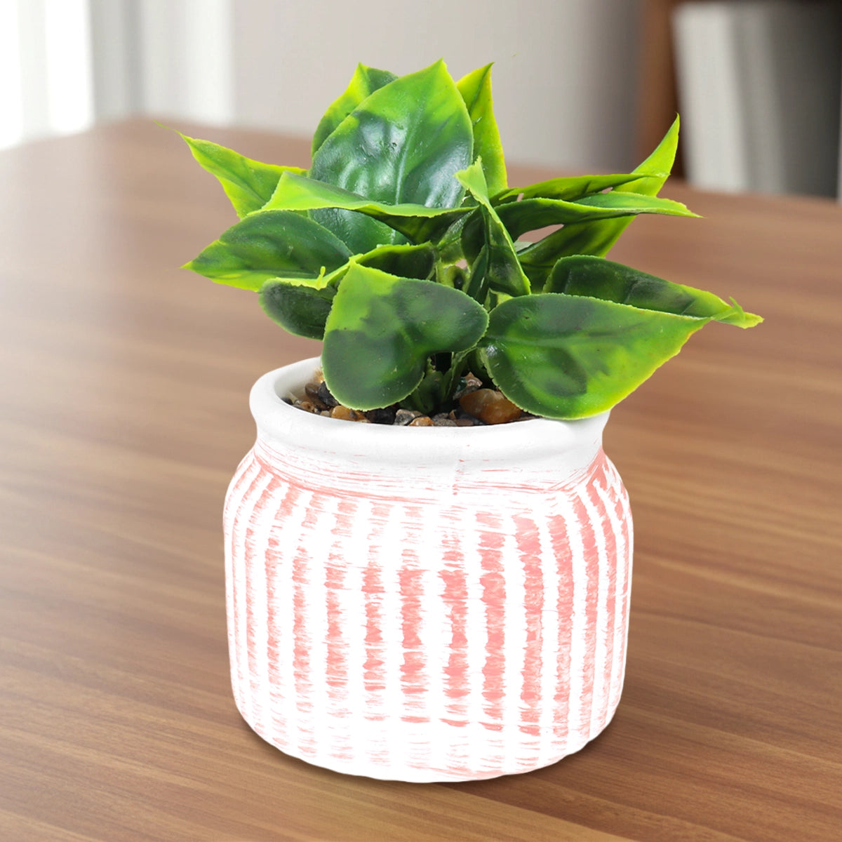 Planta con Maceta Circular, Color Naranja