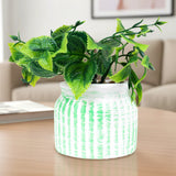 Planta con Maceta Circular, Color Verde