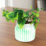 Planta con Maceta Circular, Color Verde