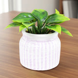 Planta con Maceta Circular, Color Morado