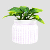 Planta con Maceta Circular, Color Morado