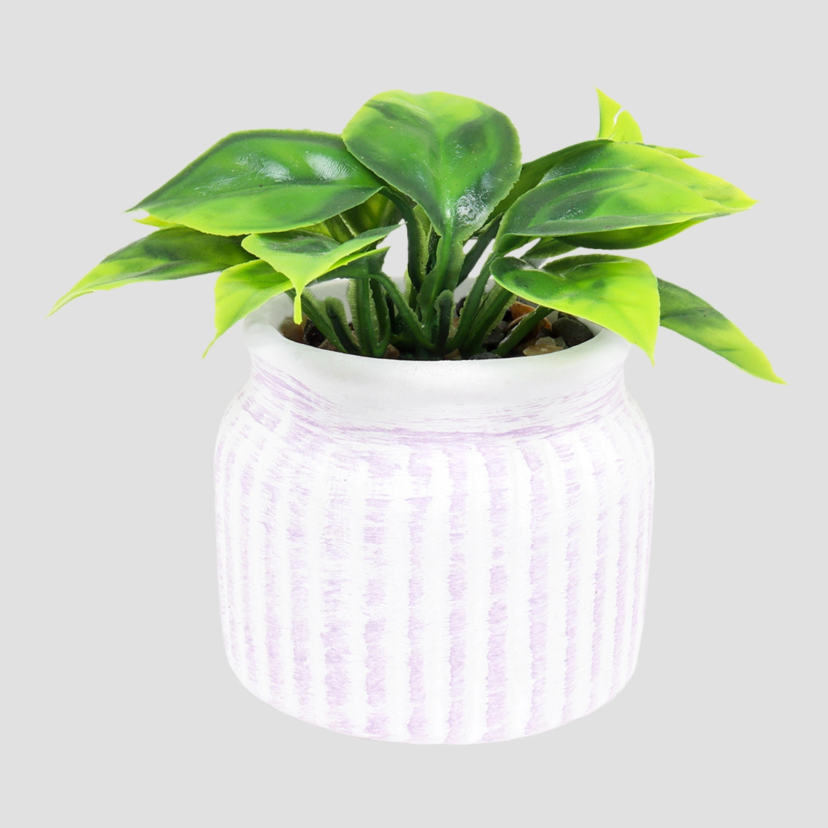 Planta con Maceta Circular, Color Morado