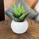 Mini Maceta, Planta Artificial, Agave
