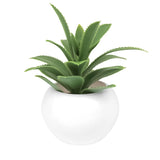 Mini Maceta, Planta Artificial, Sábila