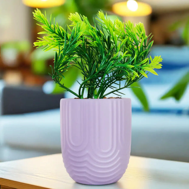 Planta con Maceta, Textura Arcoíris, Color Morado