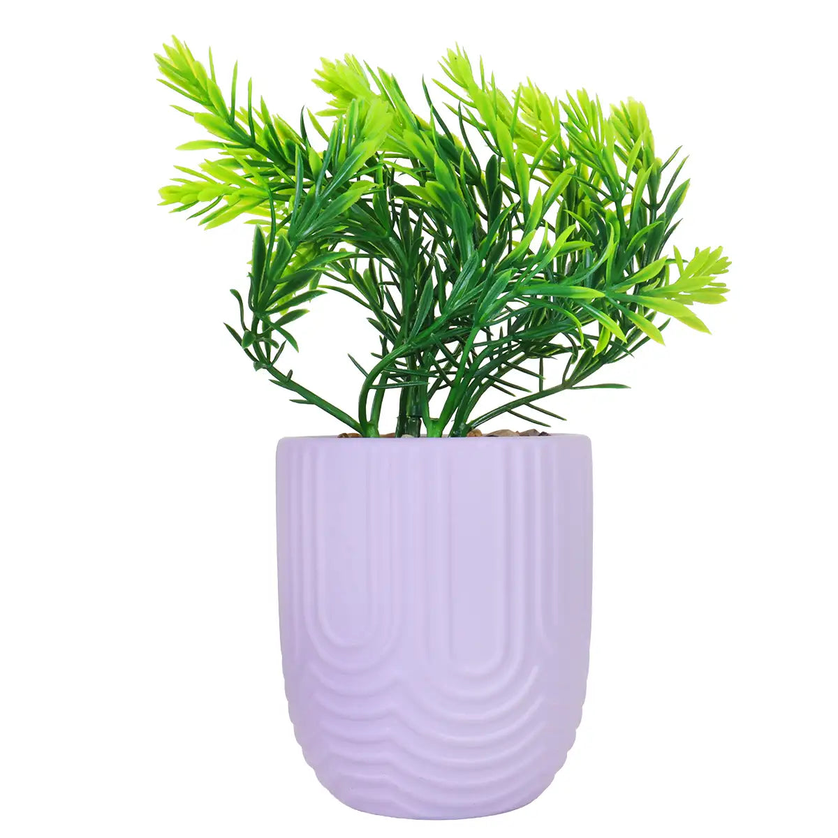 Planta con Maceta, Textura Arcoíris, Color Morado