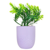 Planta con Maceta, Textura Arcoíris, Color Morado