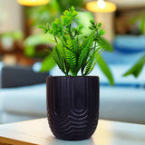 Planta con Maceta, Textura Arcoíris, Color Negro