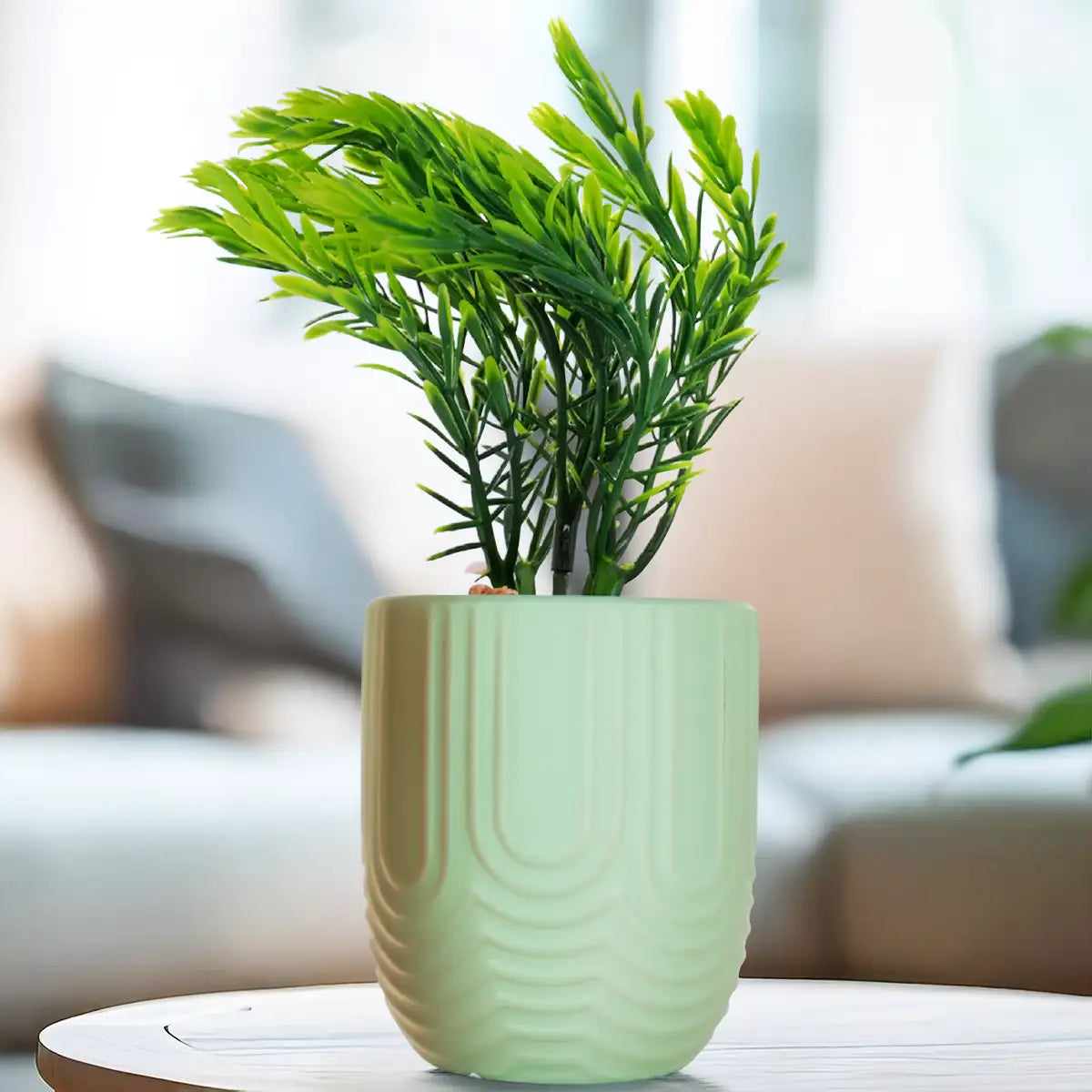 Planta con Maceta, Textura Arcoíris, Color Verde