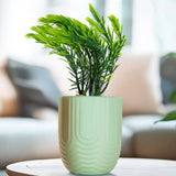 Planta con Maceta, Textura Arcoíris, Color Verde