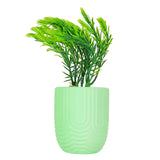 Planta con Maceta, Textura Arcoíris, Color Verde