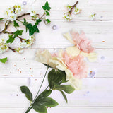 Ramo de Peonias, 3 pzas