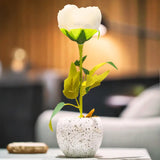 Flor Individual, Color Beige