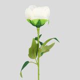 Flor Individual, Color Beige