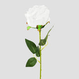 17 12AA FLOR ROSA INDIVIDUAL 3BLAN